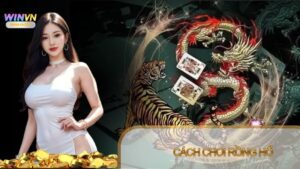 Cách chơi Rồng Hổ: Luật chơi, cửa cược và kinh nghiệm hay